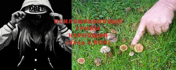 ешки Балабаново